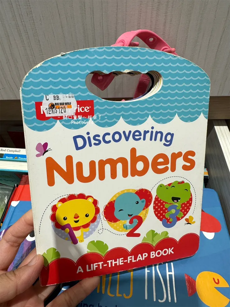 基礎的認知概念書非常多，硬頁書的佛心價格很適合多買幾本跟腦傷兒玩。