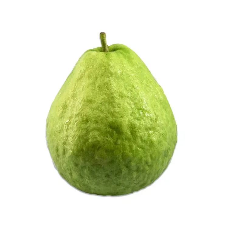 #一首認真的" #芭樂歌 " #A serious Ballad( guava )song 只有2個字都唱成這樣, 不拍成MV就太可惜了! 畢竟光一句"I Am Groot"都拍電影了~說明欄必看!