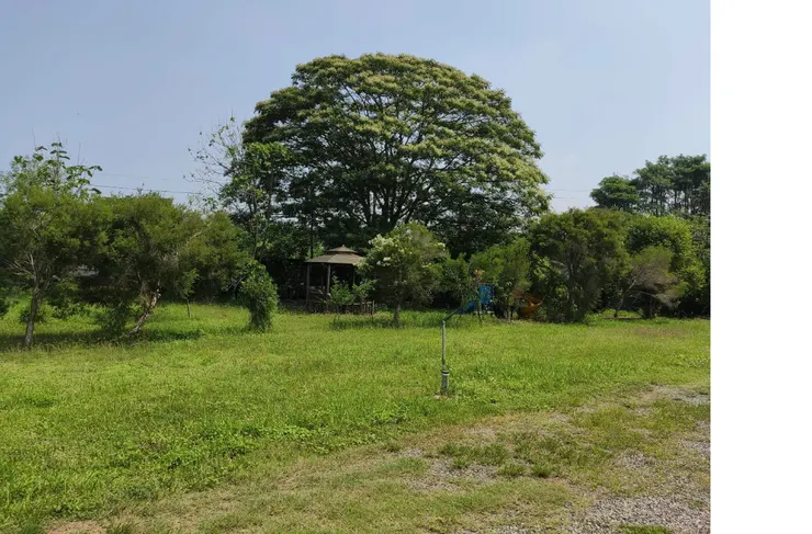 八分地花園一隅