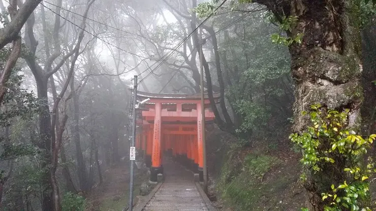 當時雲霧繚繞的伏見稻荷大社,彷彿某種結界,究竟該不該繼續往上走呢?(雲溪拍攝,版權所有)