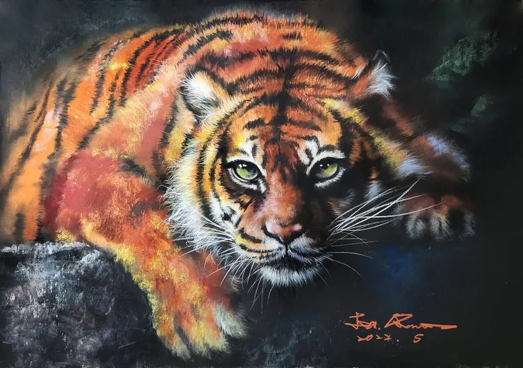 蟄伏的老虎 (媒材:粉彩)
