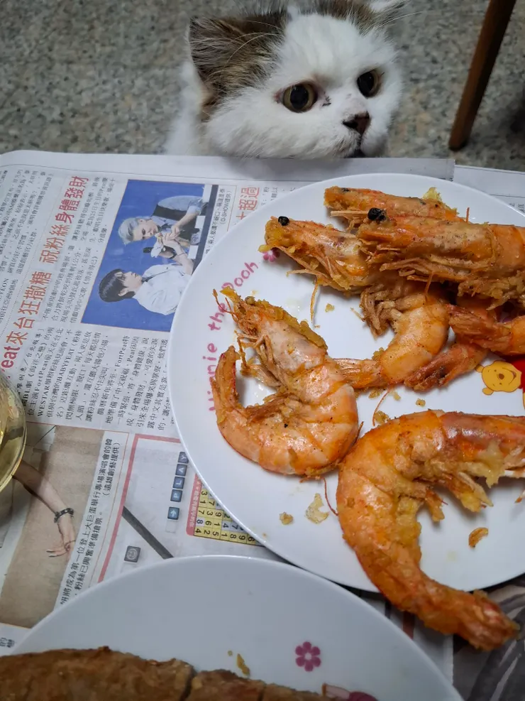 人家要吃蝦蝦。