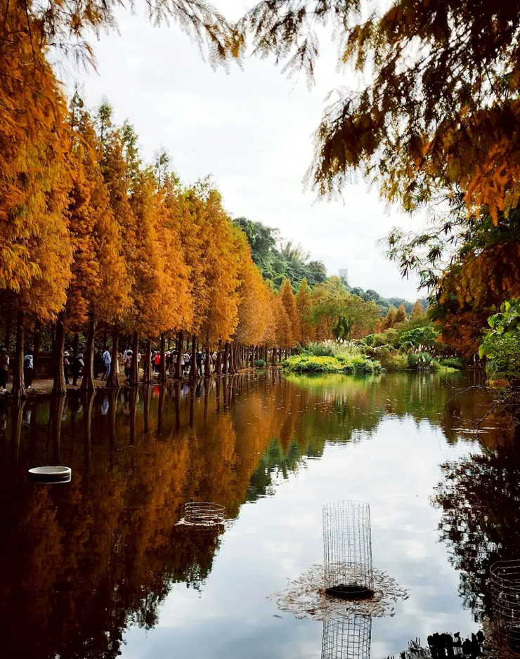 每個角度都好好拍😆