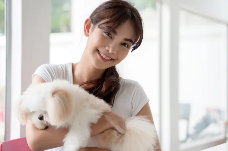 跟狗狗貓貓玩很開心，但是衣物沾染太多寵物的毛髮，清潔就會很麻煩。圖/123RF圖庫