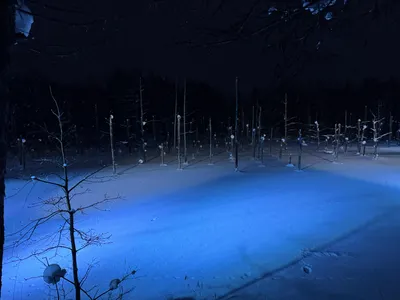 回味相簿裡的出遊紀錄