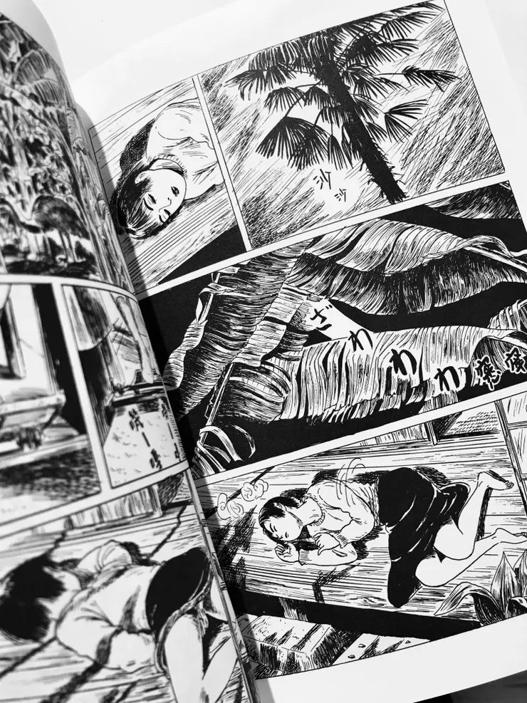 〈食火雞的庭院〉