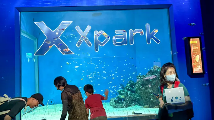 大人小孩都喜歡的Xpark水族館。