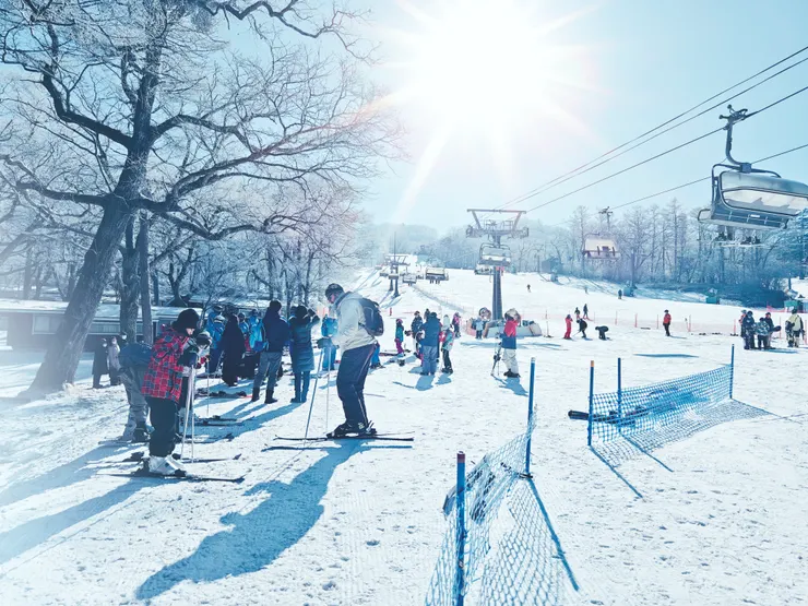 輕井澤王子滑雪場