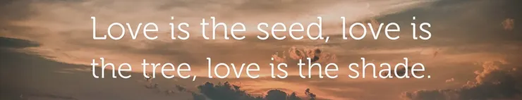 需要一個高貴的人，才能種下一棵樹的種子，有一天這棵樹會為他可能永遠不會遇到的人提供蔭涼。