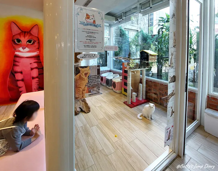 ▲龍潭「野薑花與貓」庭園餐廳/ 圖片來源:Betty's Jump Diary