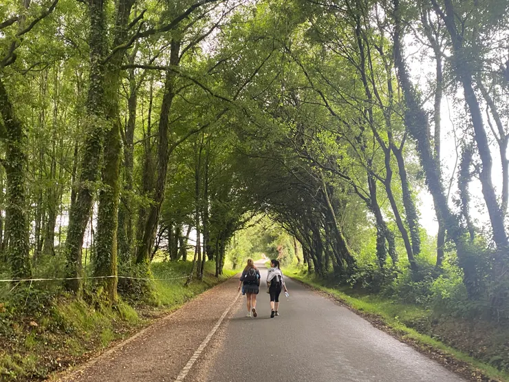 喧鬧的路途回歸到寧靜。