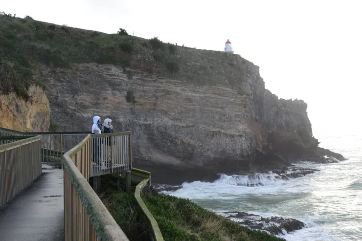 Waiwhakaheke Seabird Lookout