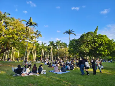 慢生活提案｜大安森林公園午後散步：光影與草地野餐的療癒時光