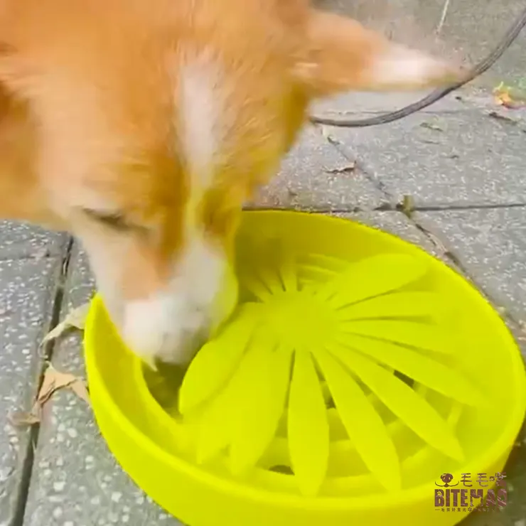 菊癒慢食盤