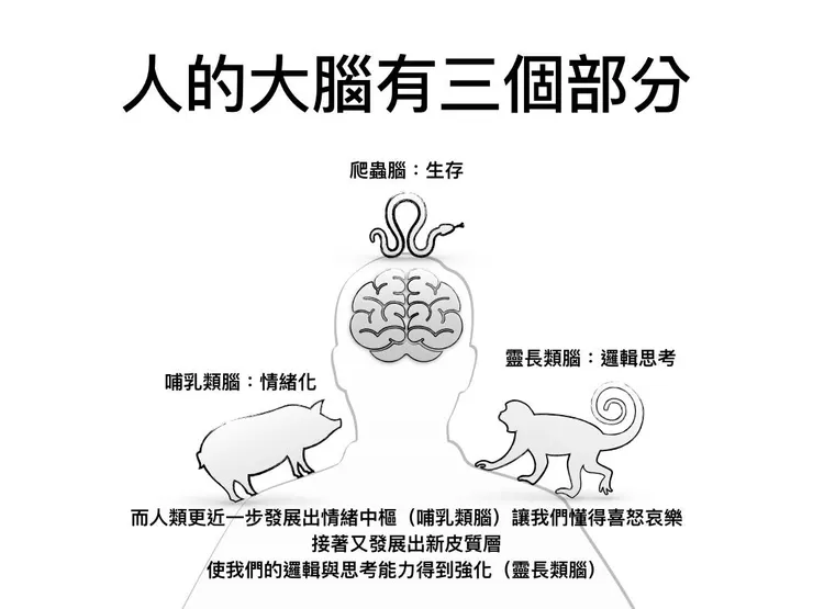 圖片出處《EQ》圖解讀後心得