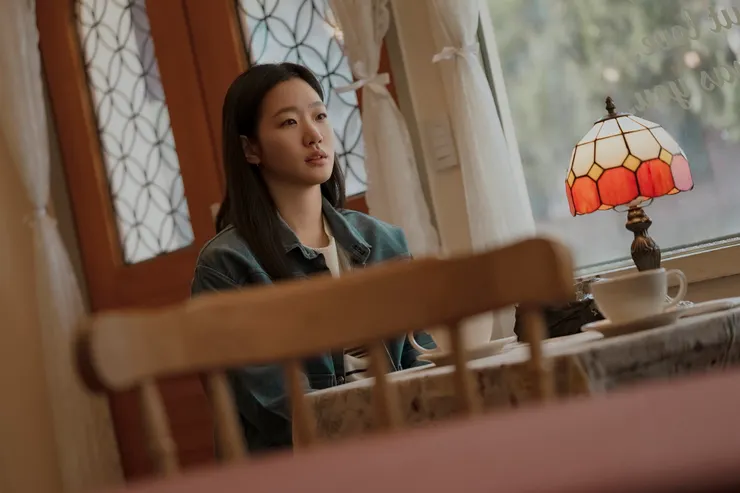 Netflix 妳和其餘的一切
