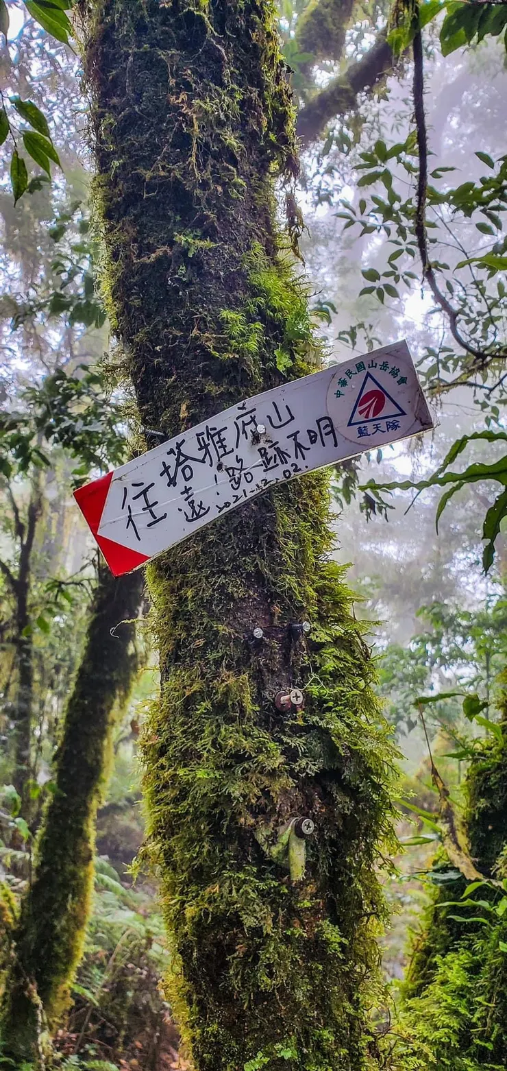 塔雅府山，遠～路跡不明！！ OK!!收到～～