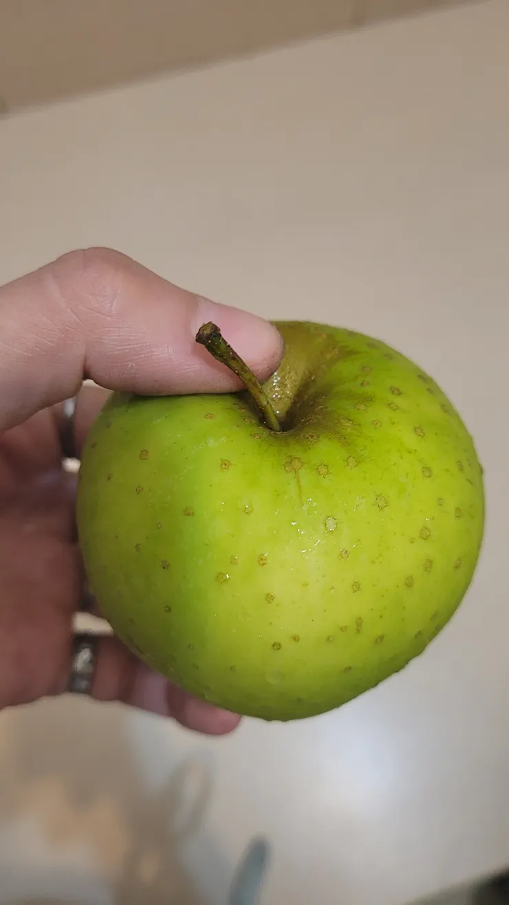 圖文不符-青蘋果!!! 