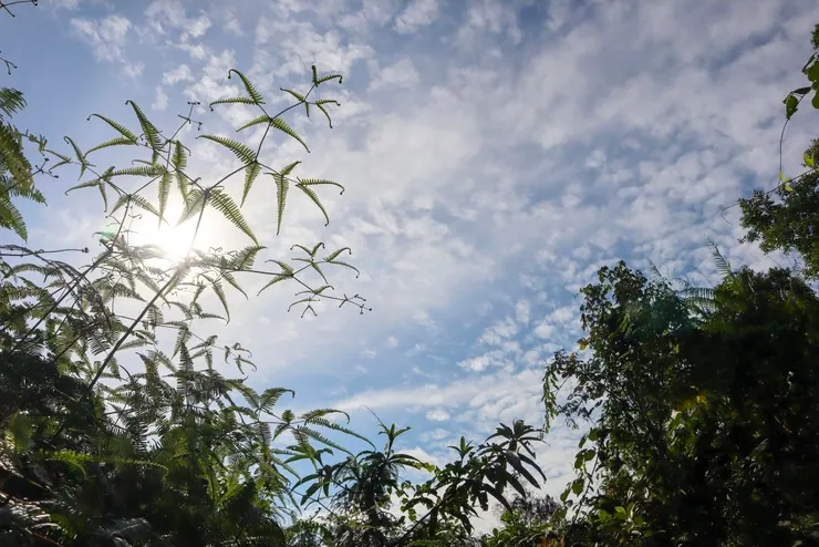 初夏天光,季節已然成形