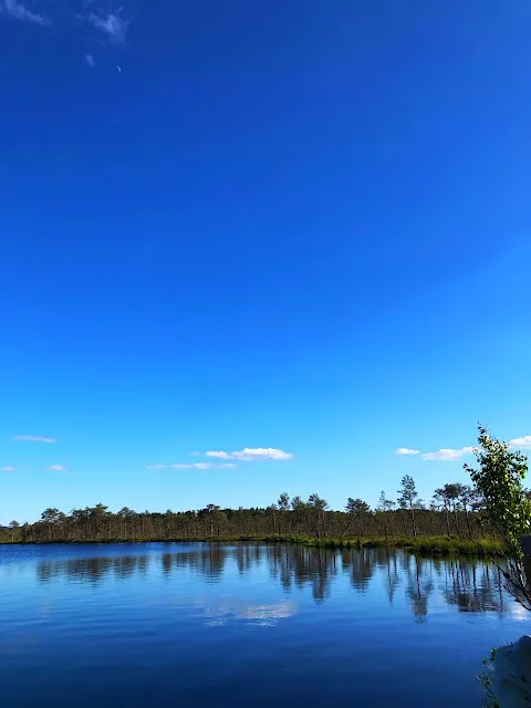 出現在眼前的一座湛藍沼澤湖，徬彿與世隔絕的秘境。