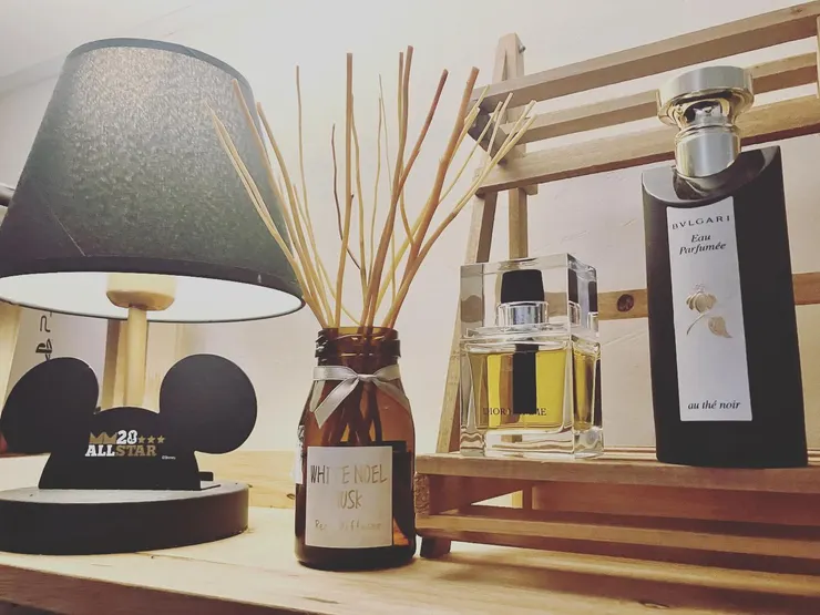 最近陪我進入夢鄉和開啟一天的魔法藥水