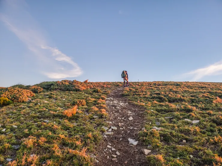 綠色草皮上因為橘紅色光芒照耀下，大地顯得活潑有朝氣～
