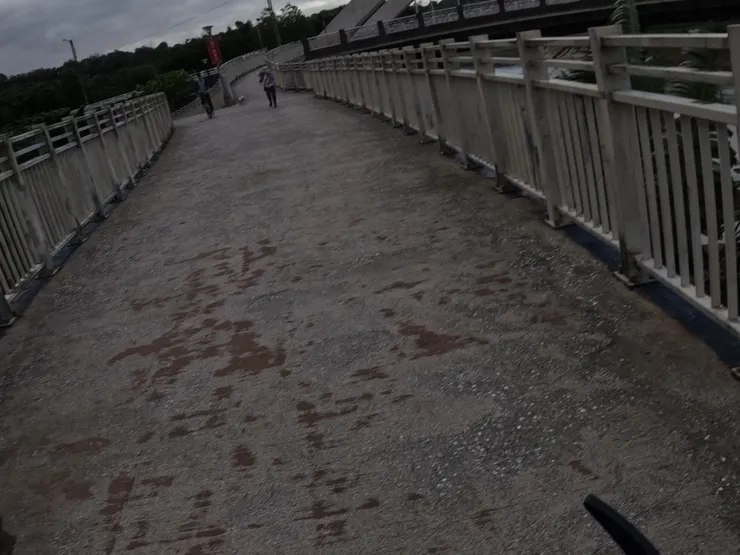 整個自行車道也幾乎是一直上上下下。