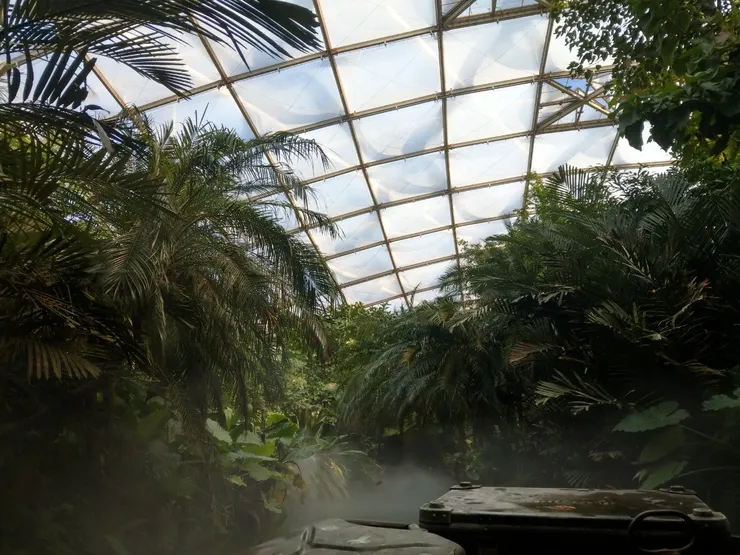 彷彿來到熱帶雨林
