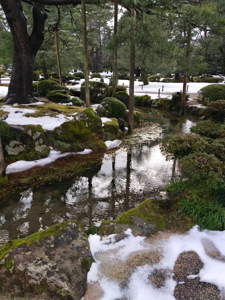 是不是很有禪意?