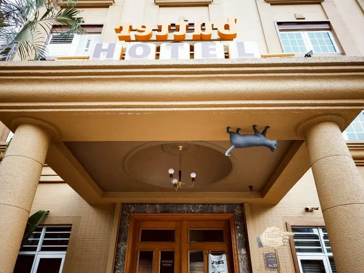 出口大門上的貓貓