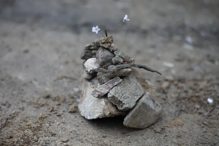 《雞蛋和石頭》電影劇照／ifilm 傳影互動