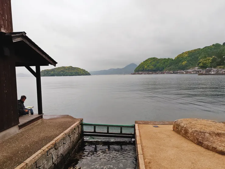 寫生中的Fatiundraw