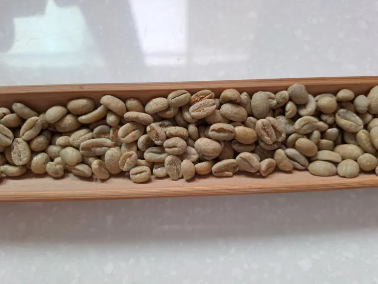 一包生豆裡，品質不一