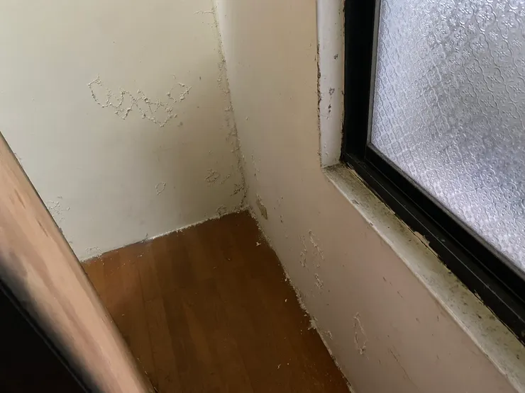 此處另一側為廚房,壁癌原因為管線老舊破裂