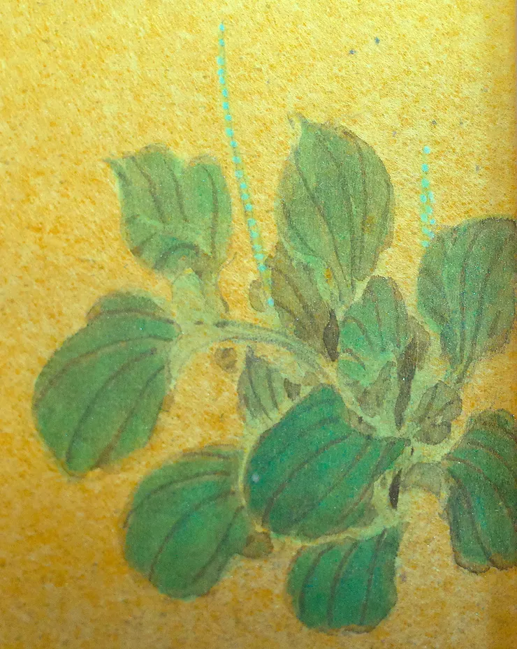 〈夏日閑庭〉局部－車前草