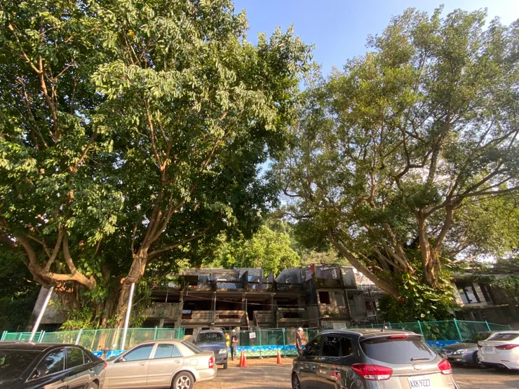 停車場內兩棵盤根錯節、氣根交纏大榕樹（大葉雀榕、正榕）於2013年被社區提報為市定老樹，成功阻擋了拆除眷村的怪手。因此居民暱稱它護村神樹。（拍攝日期：2020.8）