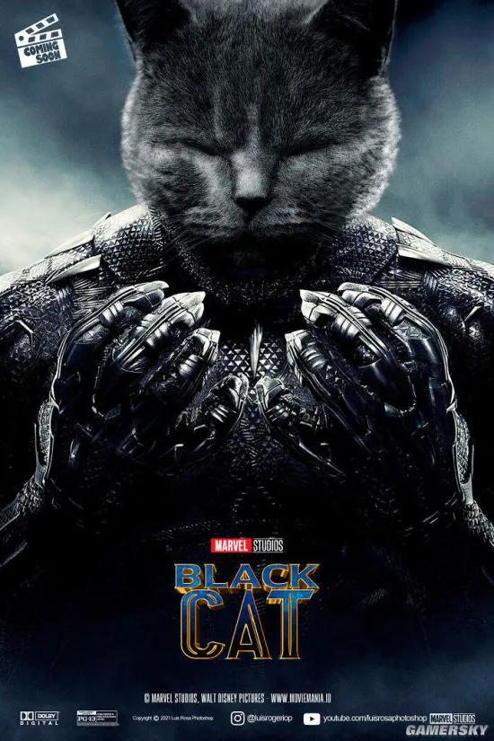 如何讓貓咪擁有黑豹般的健康跟活力?看下去就知道了!!!