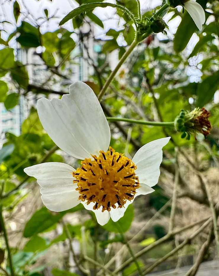 有點像電影「鐵達尼號」裡面，經典的那一幕。