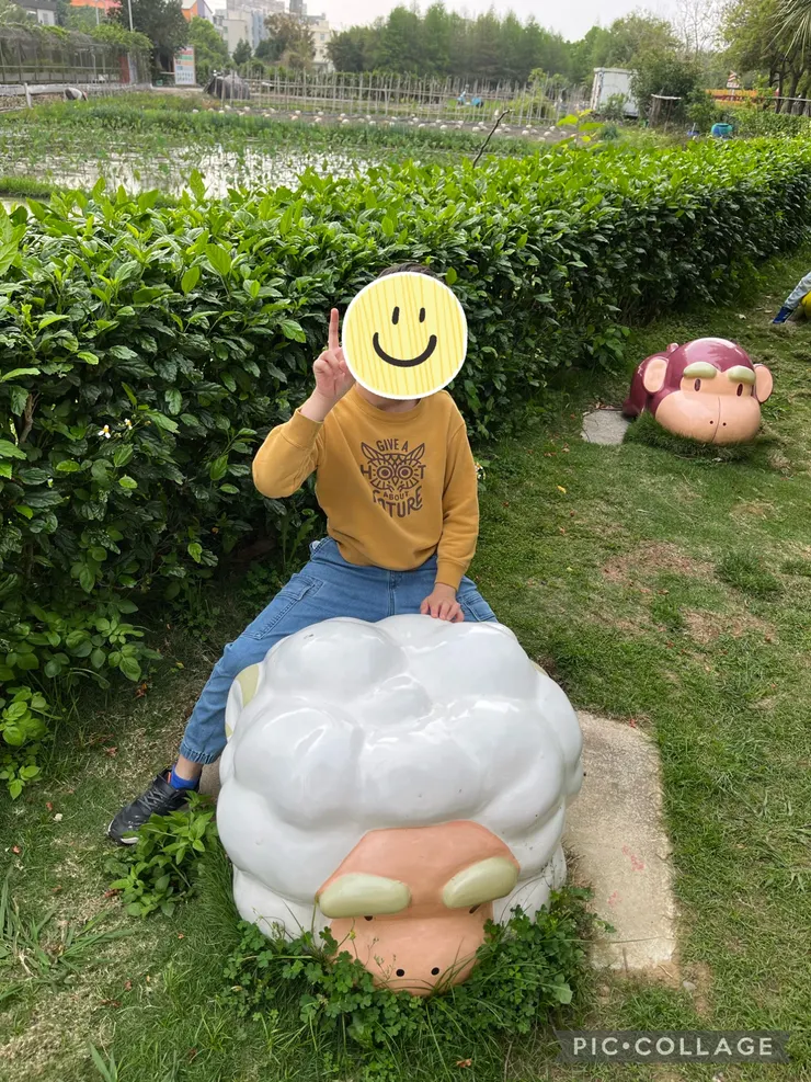 屬羊的小朋友。