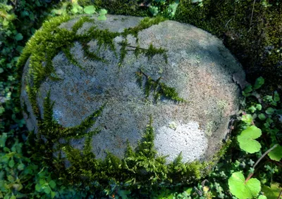 ～來玩小遊戲~堅持！