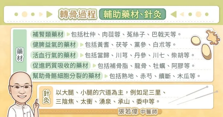 轉骨過程輔助藥材、針灸