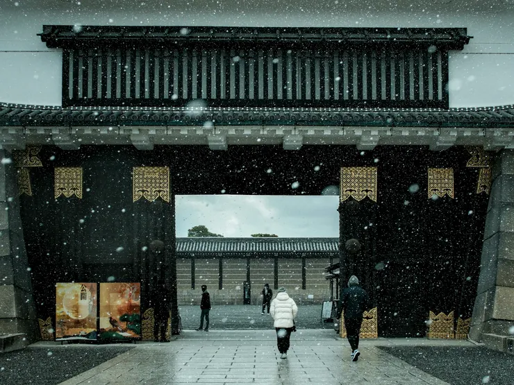 Photo from Unsplash, Lovi Stinio