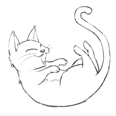 Ci在故事裡的沙龍