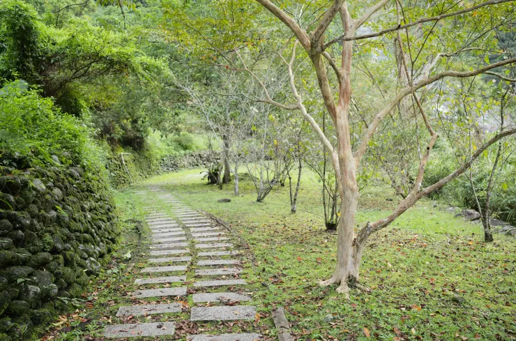 富源溪谷水氣豐沛,因此沿溪步道長滿了綠絨絨的可愛青苔