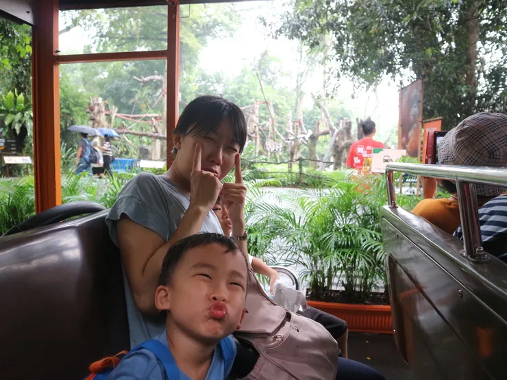 因為下雨還有好多動物沒看到就要回家了，哭哭