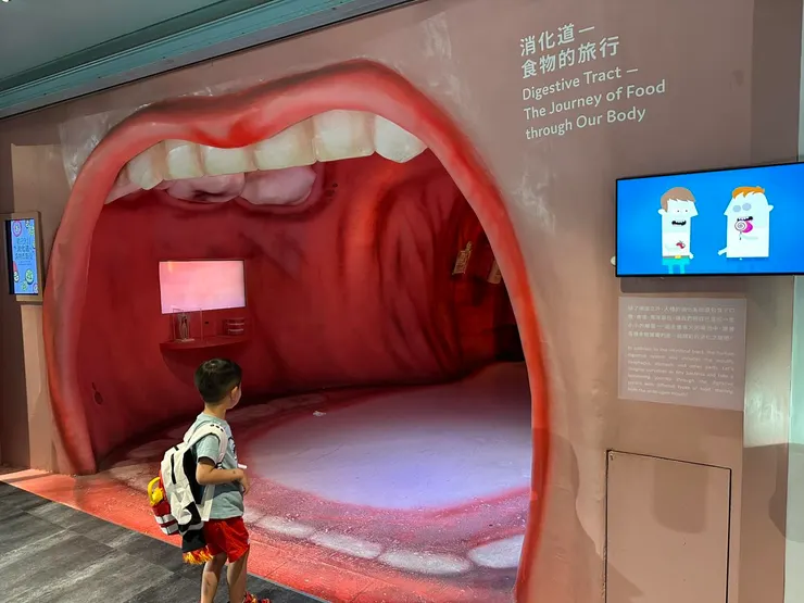 蘇打說的大嘴巴入口-消化道 食物的旅行