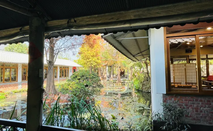 後花園的蓮花池(拍攝時間:一月)