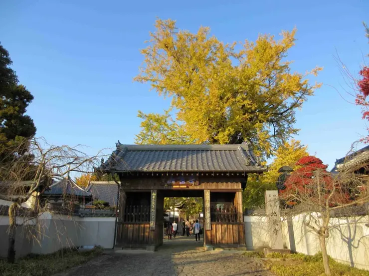 第5番 地藏寺