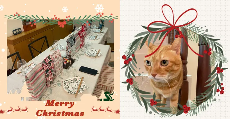 主人精心準備的禮物與她好奇的愛貓