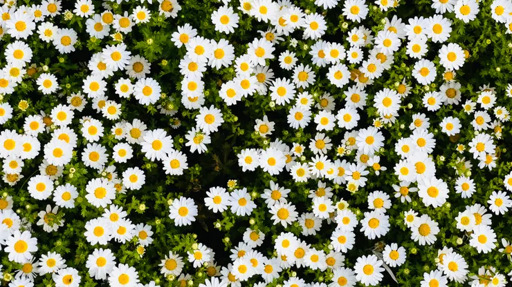 攝影師：serkan atay: https://www.pexels.com/zh-tw/photo/11895000/